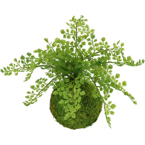 Kunstpflanze I.GE.A. "Farnbusch auf Mooskugel", grün, B:27cm H:30cm L:27cm, Kunststoff, Kunstpflanzen, Kunstpflanze, Künstliche Pflanze Waldfarn