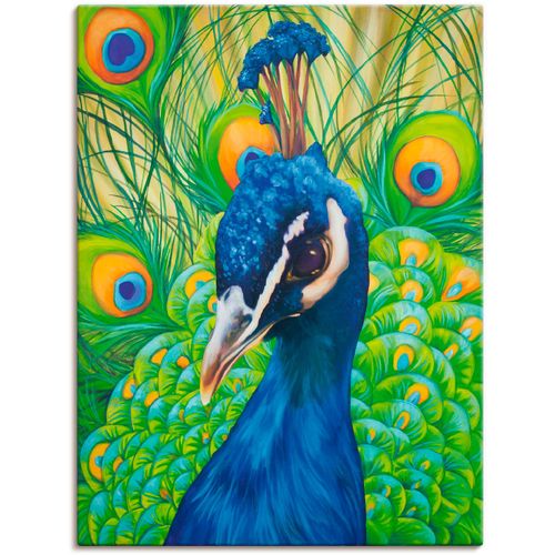 Wandbild ARTLAND "Pfau", blau (farbe bild(er): blau), B:60cm H:80cm T:1,8cm, Canvas, Leinwand, Bilder, als Leinwandbild, Poster in verschied. Größen