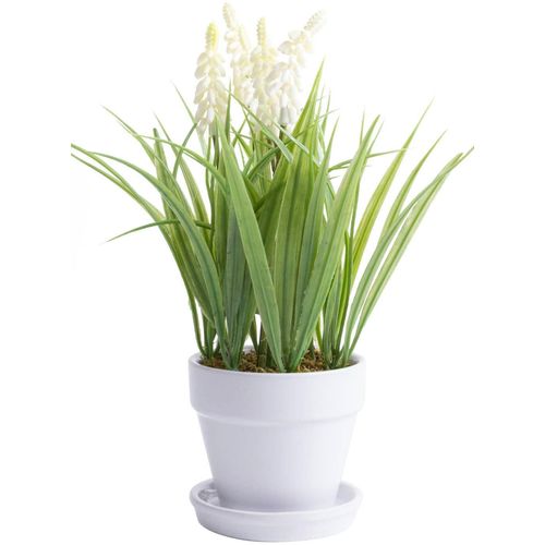 Kunstblume BOTANIC-HAUS "Muskari getopft", beige (creme, weiß), B:18cm H:26cm T:18cm Ø:18cm, Kunststoff, Kunstpflanzen