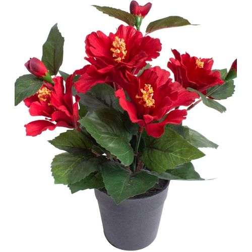 Kunstblume BOTANIC-HAUS "Hibiskus im Topf", rot, B:20cm H:27cm T:20cm Ø:20cm, Kunststoff, Kunstpflanzen
