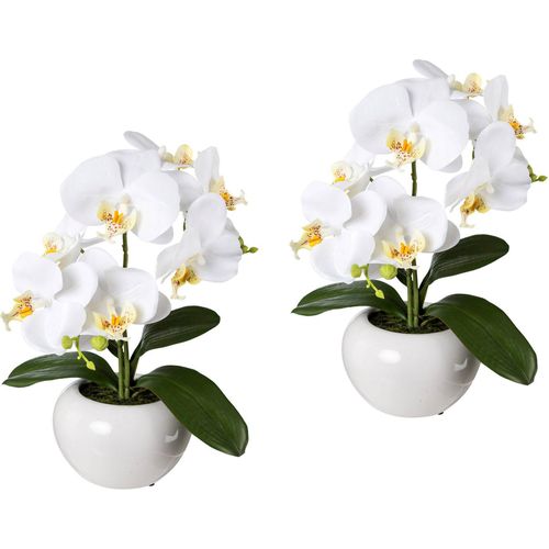 Kunstpflanze CREATIV GREEN, weiß, H:35cm, Kunststoff, Kunstpflanzen, 2er Set