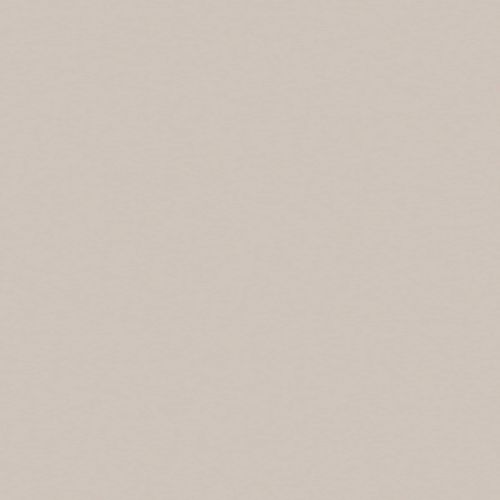 Vliestapete ART FOR THE HOME, grau (taupe), B:0,52m L:10m, Vlies, Tapeten, Uni - Taupe - 10m x 52cm