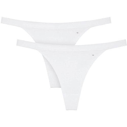 Slip TRIUMPH 
