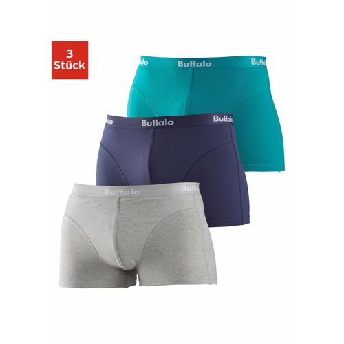 Boxer BUFFALO 