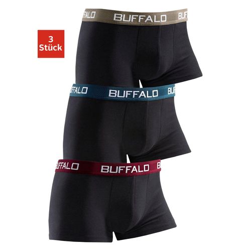 Boxer BUFFALO 