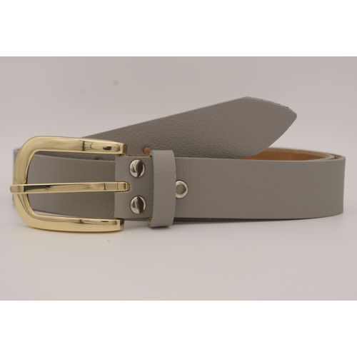 Ledergürtel ANNAMATONI, Damen, Gr. 100, grau, Rindsleder, unifarben, casual, Gürtel, mit goldener Schließe