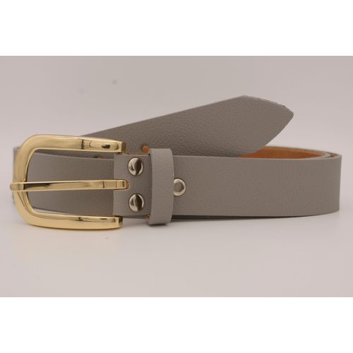 Ledergürtel ANNAMATONI, Damen, Gr. 105, grau, Rindsleder, unifarben, casual, Gürtel, mit goldener Schließe