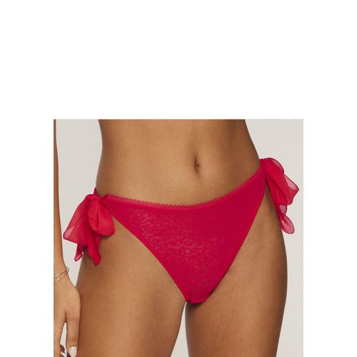 String VIVANCE 