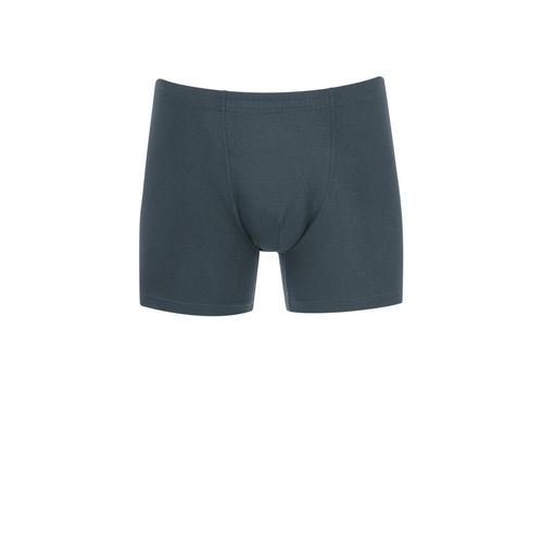 Boxer TRIGEMA 