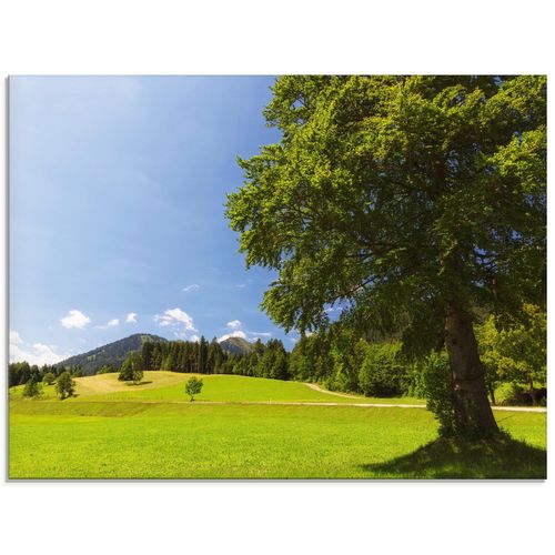 Glasbild ARTLAND 