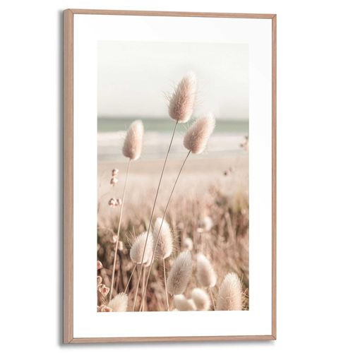 Poster REINDERS "Ziergras", beige (farbe bild(er): beige), B:20cm H:30cm T:1,6cm, MDF, Bilder