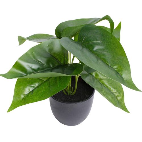 Künstliche Zimmerpflanze BOTANIC-HAUS "Philodendron", grün, B:28cm H:24cm T:28cm Ø:28cm, Kunststoff, Kunstpflanzen, Künstliche Zimmerpflanze
