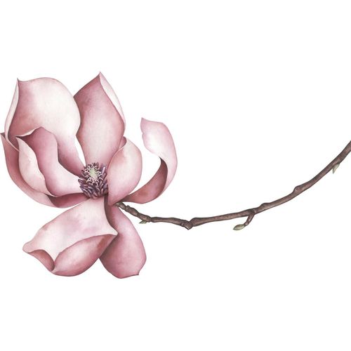 Wandtattoo QUEENCE 