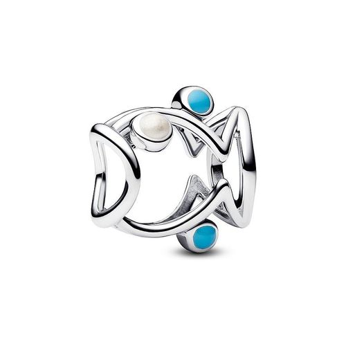 Pandora Charm Moments 793819C01
