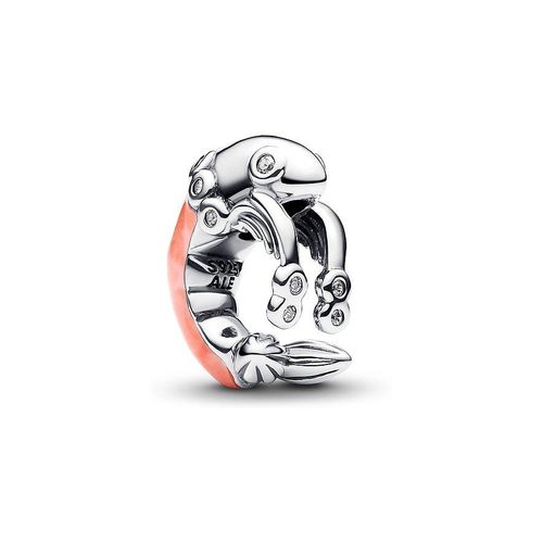 Pandora Charm Moments 793896C01
