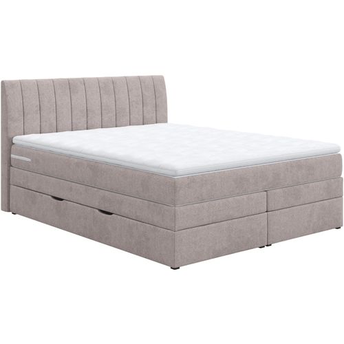 Boxspringbett COTTA 