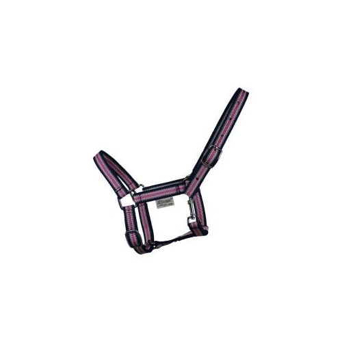 EQuest Halfter Dual Shetty