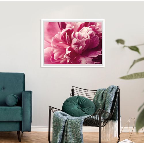 queence Bild »Andreas«, Blumen-Blumenbilder-Pflanzenbilder-Foto-Kunst