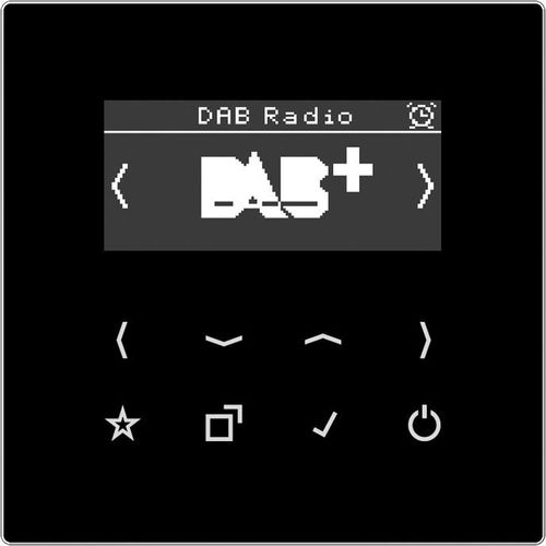 JUNG Smart Radio DABLSSW DAB+ JUNG