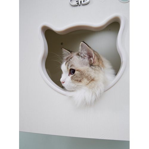 CatS Design Kletterwand große Katzen stabil Wandkratzbaum Wandhöhle F2