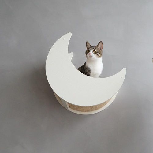 CatS Design Kletterwand große Katzen stabil Wandkratzbaum Wandbett Mond F7
