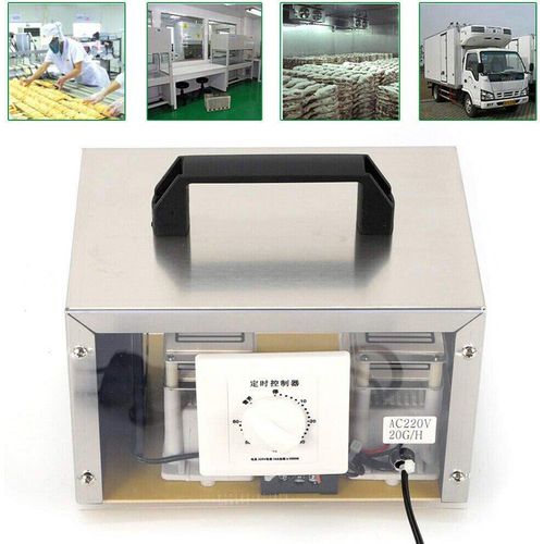 Topchances 220V 20G Ozongenerator Luftreiniger Ozongerät Ozonisator Ozon-Maschine mit Timer, für Autos, Hotels, Küche, muffigen Keller, Bauernhöfe, Edelstahl-Box