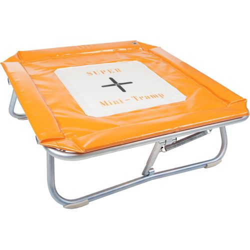 Sport-Thieme Minitramp 