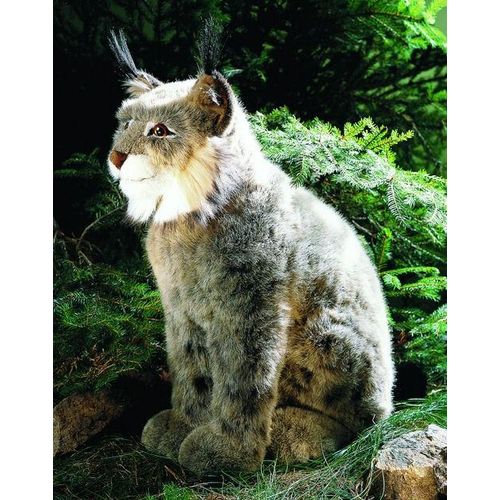 Kösen Luchs sitzend 43 cm