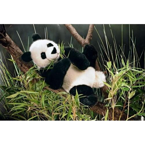 Kösen sitzender Panda, Granulat