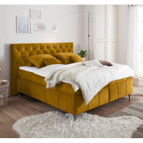 Boxspringbett 180x200 cm PETARE-09 in der modernen Farbe Okra und Härtegrad H2