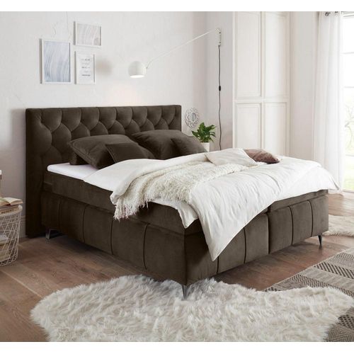 Boxspringbett 180x200 cm PETARE-09 in der modernen Farbe Espresso und Härtegrad H2