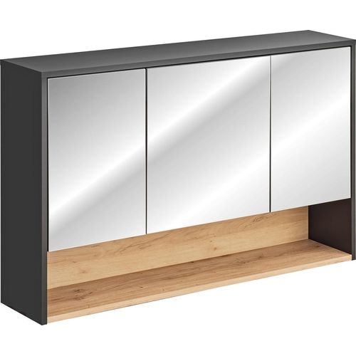 Badezimmer Spiegelschrank BURBON 75x120cm Graphit matt