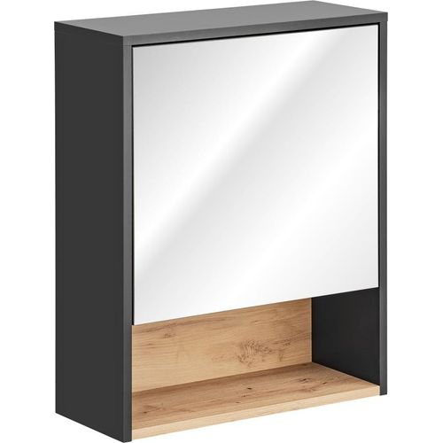 Badezimmer Spiegelschrank BURBON 75x60cm Graphit matt