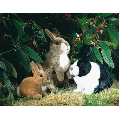 Kösen Hase Kaninchen Lauscher 35 cm Kuscheltier