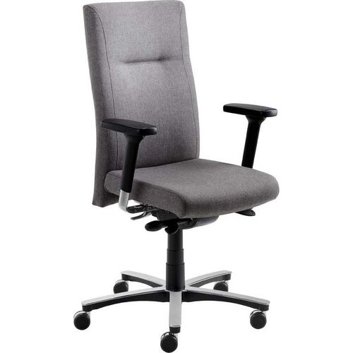 Drehsessel myNEW VISION XXL mit D-Armlehnen Grau