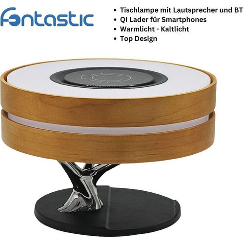 Fontastic Multifunktions-Lampe Icona
