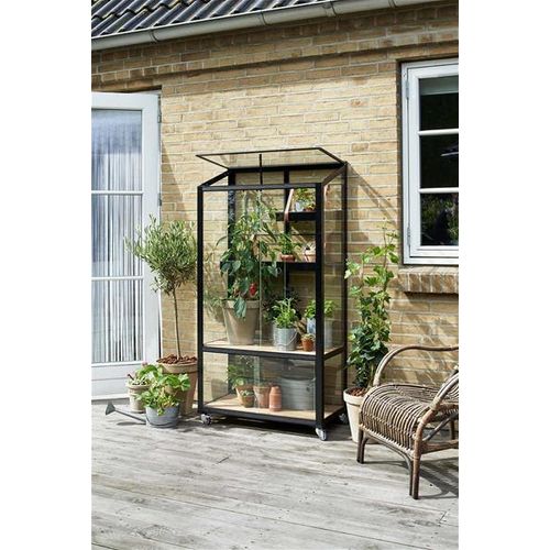 Gewächshaus Balkon Juliana Urban City Greenhouse 0,32m² 4mm SHG