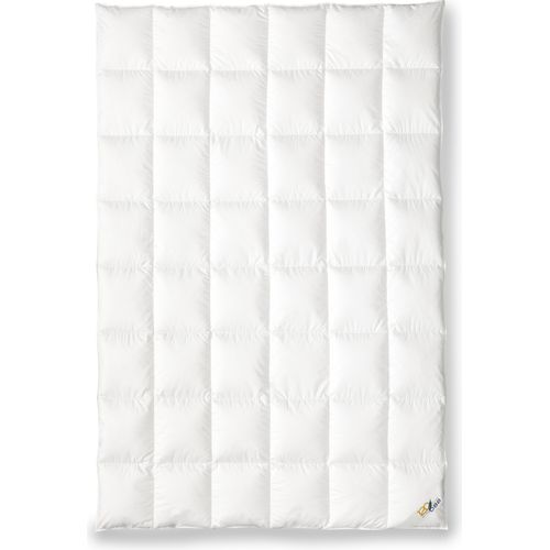 OBB 120 Jahre Daunendecke Sommer 155x220