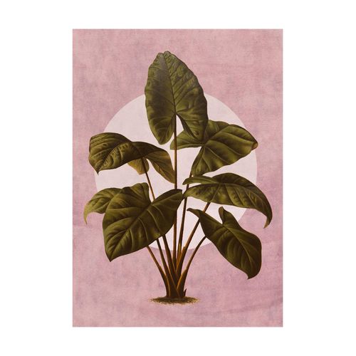 Komar Bild »Créatures Végétales«, Natur, (1 St.), Wandbild zur Dekoration - ohne Rahmen