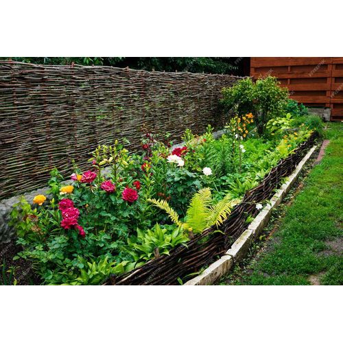 Beeteinfassung Weide - Steckzaun aus verflochtenen Weidenzweigen 150 cm 20 cm 10 Stück