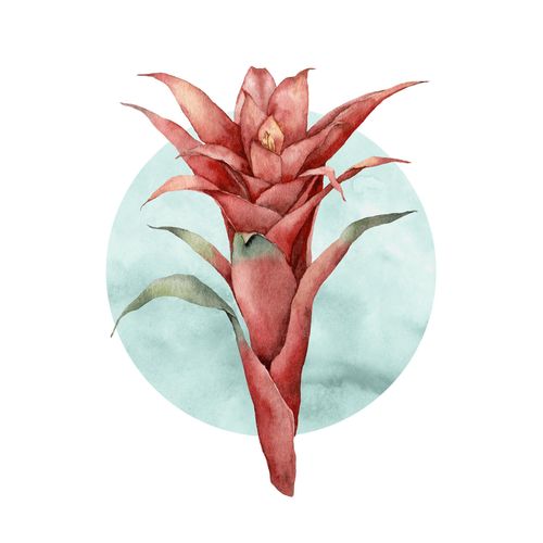 Komar Bild »Funky Flower«, Natur, (1 St.), Wandbild zur Dekoration - ohne Rahmen
