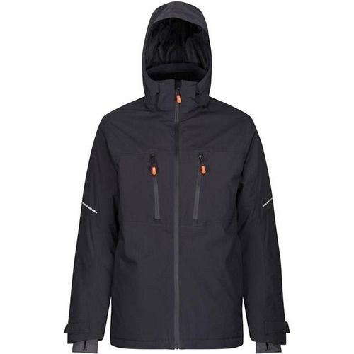Regatta - 