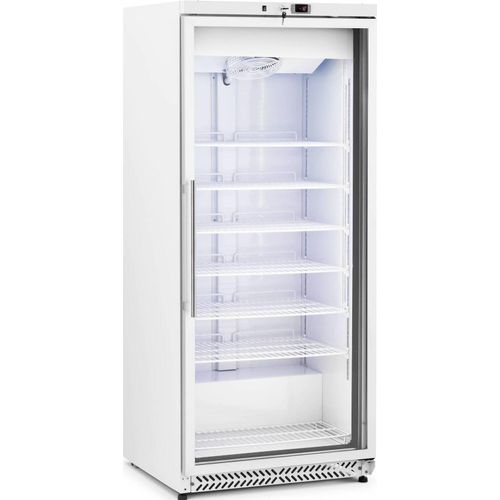Royal Catering Gefrierschrank - 580 L - - Glastür - Silbern - Kältemittel R290