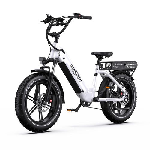20*4.0 Zoll E bike E-Mountainbike E-Bike Elektrofahrrad 48V 18AH Mit APP 25KM/H Fatbike Herren Damen Elektro Fahrrad E Fahrrad Strand & Schnee