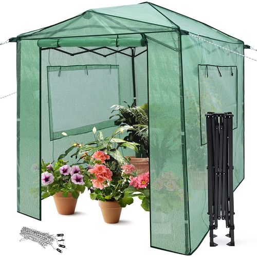 GOPLUS 183 x 244 cm Gewächshaus, Gartengewächshaus mit aufrollbaren Türen & Seitenfenstern, Treibhaus mit PE-Abdeckung für Blumen & Pflanzen