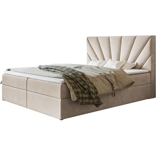 Boxspringbett DENVER mit 2 Bettkästen, Polsterbett Maße: 160x200, Farbe: Beige, Velourstoff, Doppelbett mit Bonell-Matratze