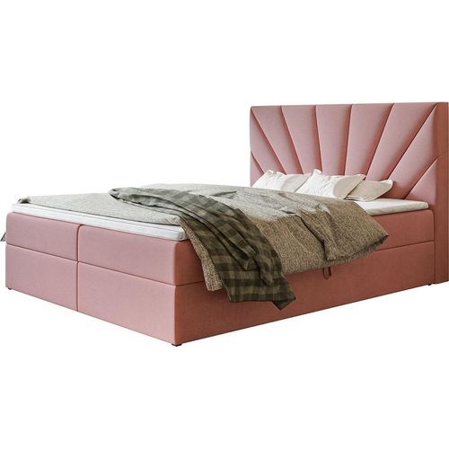 Boxspringbett DENVER mit 2 Bettkästen, Polsterbett Maße: 180x200, Farbe: Rosa, Velourstoff, Doppelbett mit Bonell-Matratze