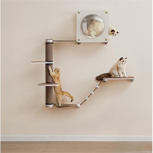 Feandrea Clickat Oasis Kletterwand Katzen, Katzenmöbel 5er Set, Katzenbrett, Hängematte, Kratzsäule, Katzenhöhle