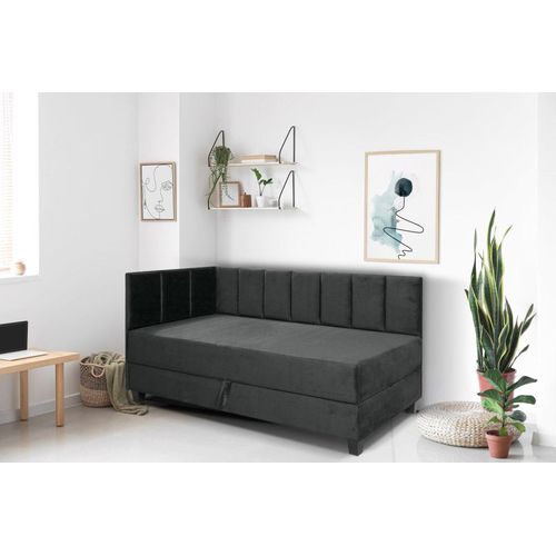 Jugendbett Einzelbett Eryk Boxspringbett mit Matratze Kinderbett Bettkasten 90 x 200 cm Links Paris 165 – grau