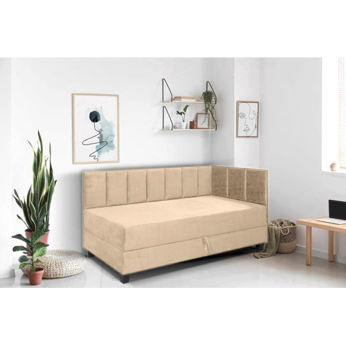 Jugendbett Einzelbett Eryk Boxspringbett mit Matratze Kinderbett Bettkasten 100 x 200 cm Rechts Paris 121 - beige